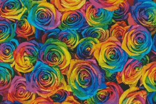 1 Cross Stitch Chart Pattern Rainbow Rose 